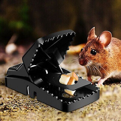 Reusable Plastic Mouse Trap Durable Safe Effective Heavy Duty And Long Lasting Mouse Catcher For Rodent Control