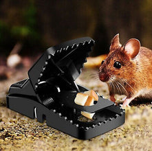 Reusable Plastic Mouse Trap Durable Safe Effective Heavy Duty And Long Lasting Mouse Catcher For Rodent Control